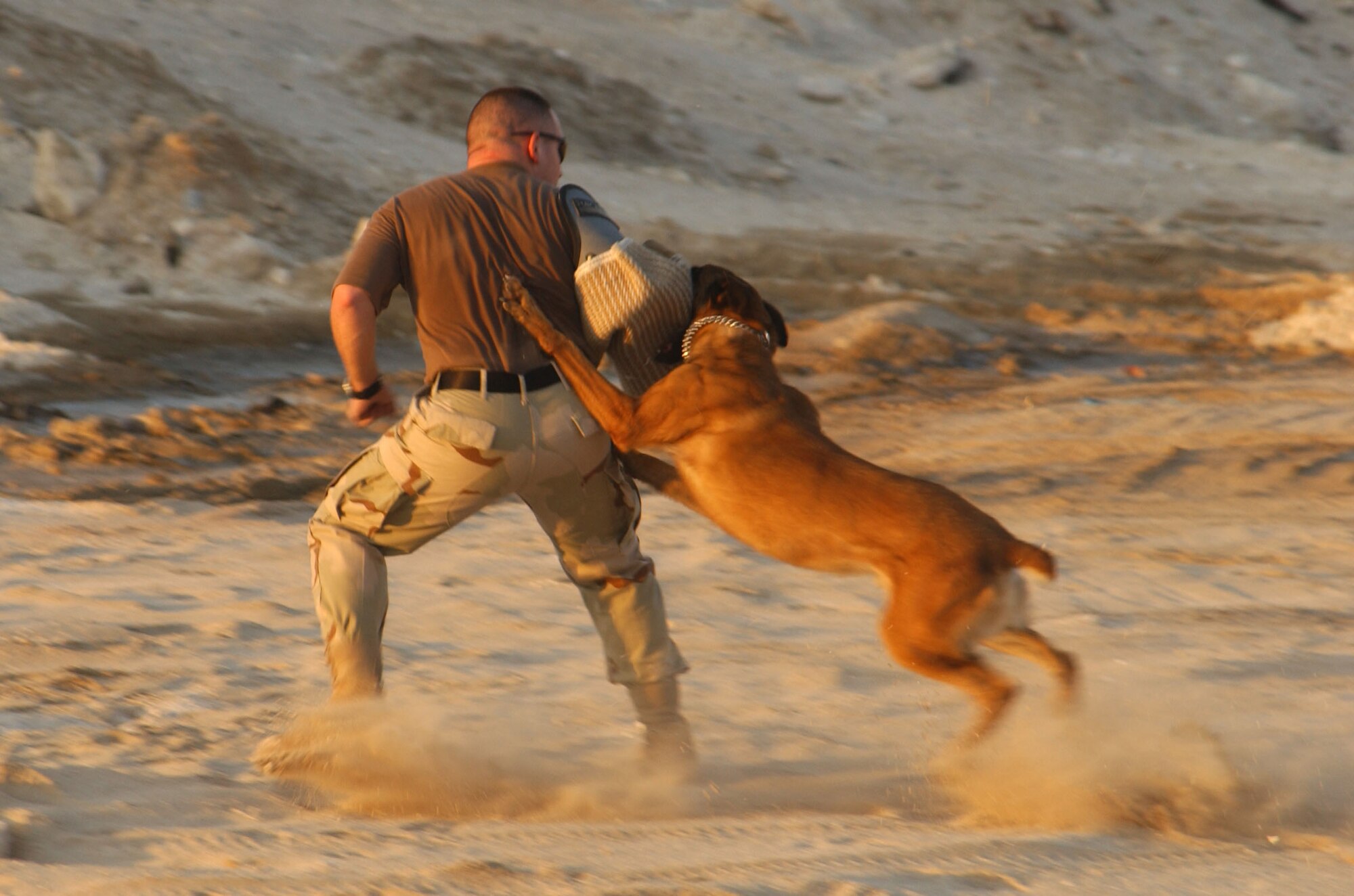 Senior Airman Alexander Colon is searched by Tech. Sgt. Keith Crowder while Endy stands by to assist during a military working dog demonstration Oct. 21.  Airman Colon, Sergeant Crowder and Endy are assigned to the 380th Expeditionary Security Forces Squadron at this deployed location in Southwest Asia where working dog teams provide security for the largest air refueling fleet in the theater. (U.S. Air Force photo/Master Sgt. Jason Tudor)