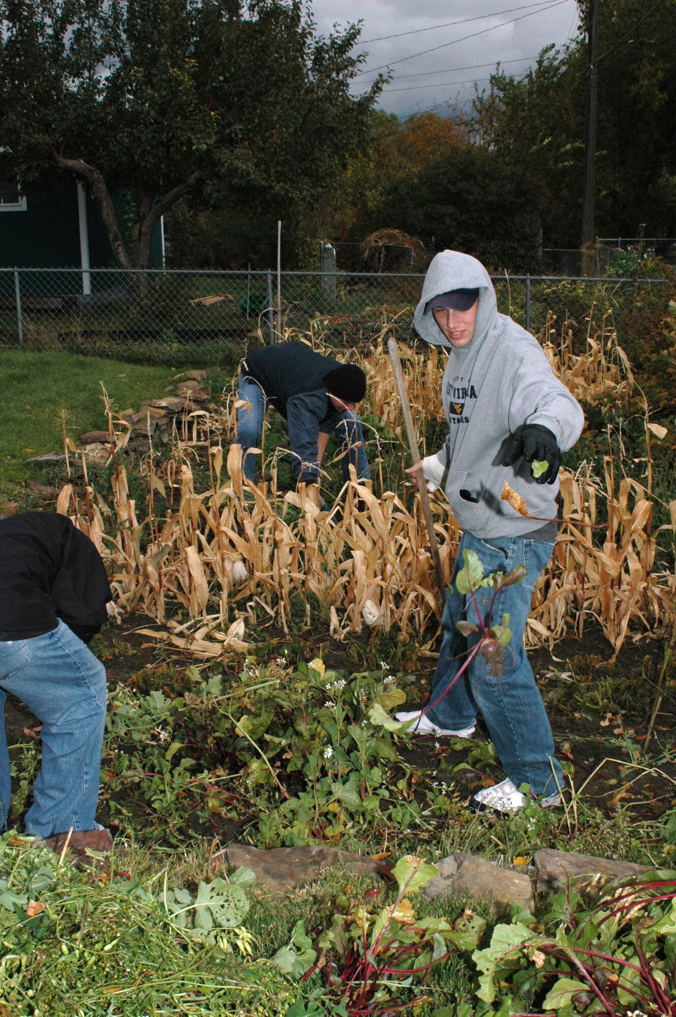 Airman Brian Toney, and Airmen 1st Class Patrick Lessnau and Caleb Jones, 341st Missile Maintenance Squadron, work to clear out a resident's garden during the Day of Caring event for Great Falls seniors Oct. 20.