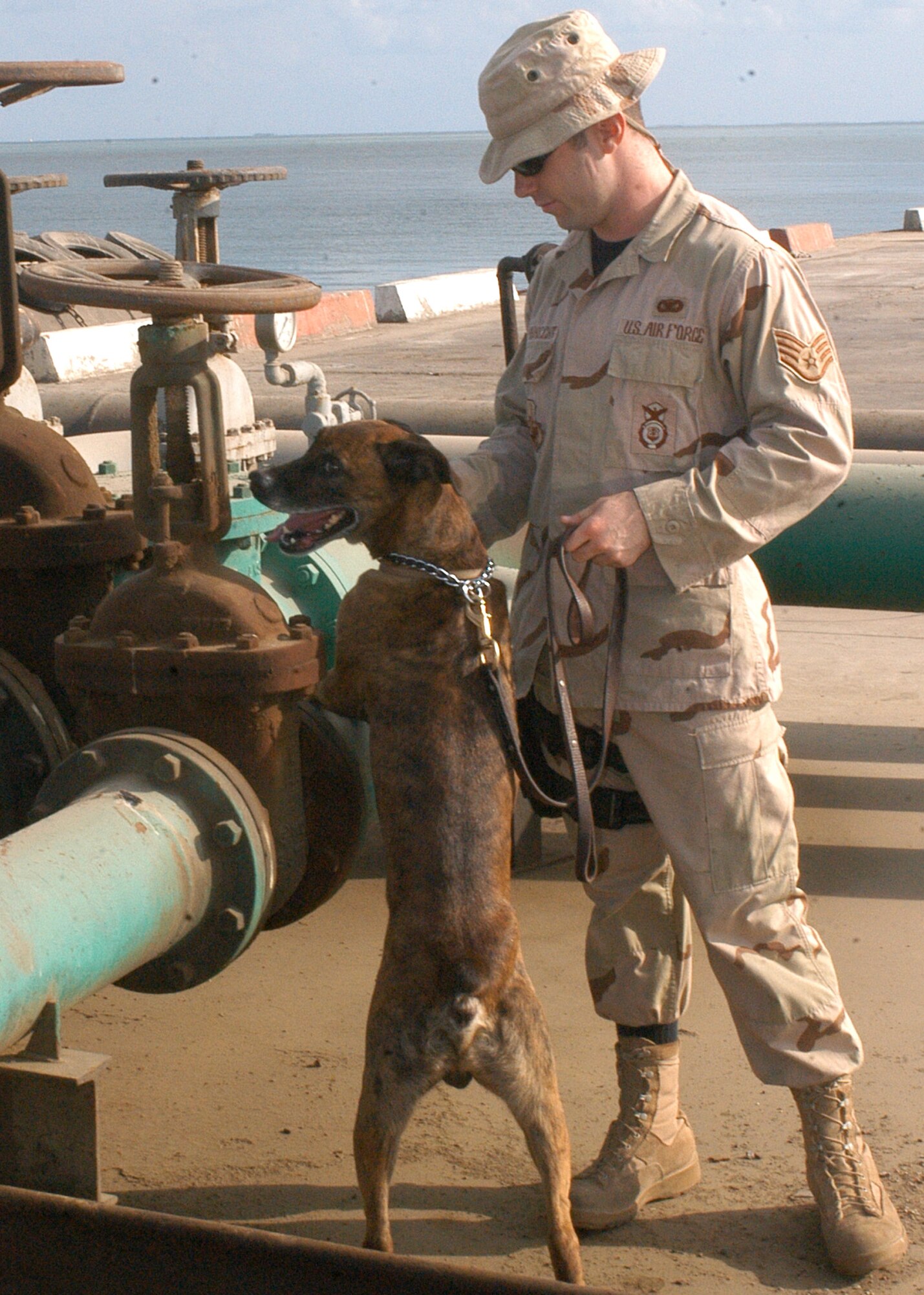 Staff Sgt. Matt Helmbrecht and Borek check for explosive devices Oct. 15 as part of a joint procedure to secure a pier for an incoming naval ship at the port in Djibouti City, Djibouti. (U.S. Air Force photo/Senior Airman Sarah E. Stegman)