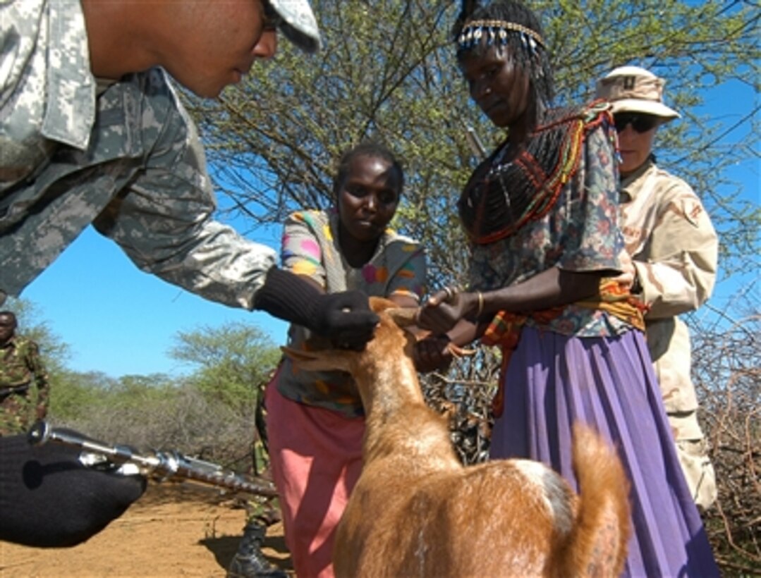 U.S. Army Spc. Ignacio Rosario immunizes a goat with the help of local Pokot herders during a medical, civil and veterinarian assistance project as part of exercise Natural Fire in Chemeril, Kenya, on Aug. 15, 2006.  The exercise consists of military-to-military training as well as medical, veterinary, and engineering civic affairs programs conducted in rural areas throughout the region.  