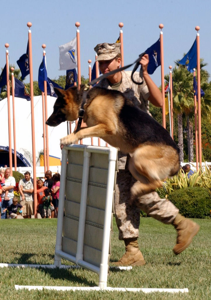 Marine Corps Photo
