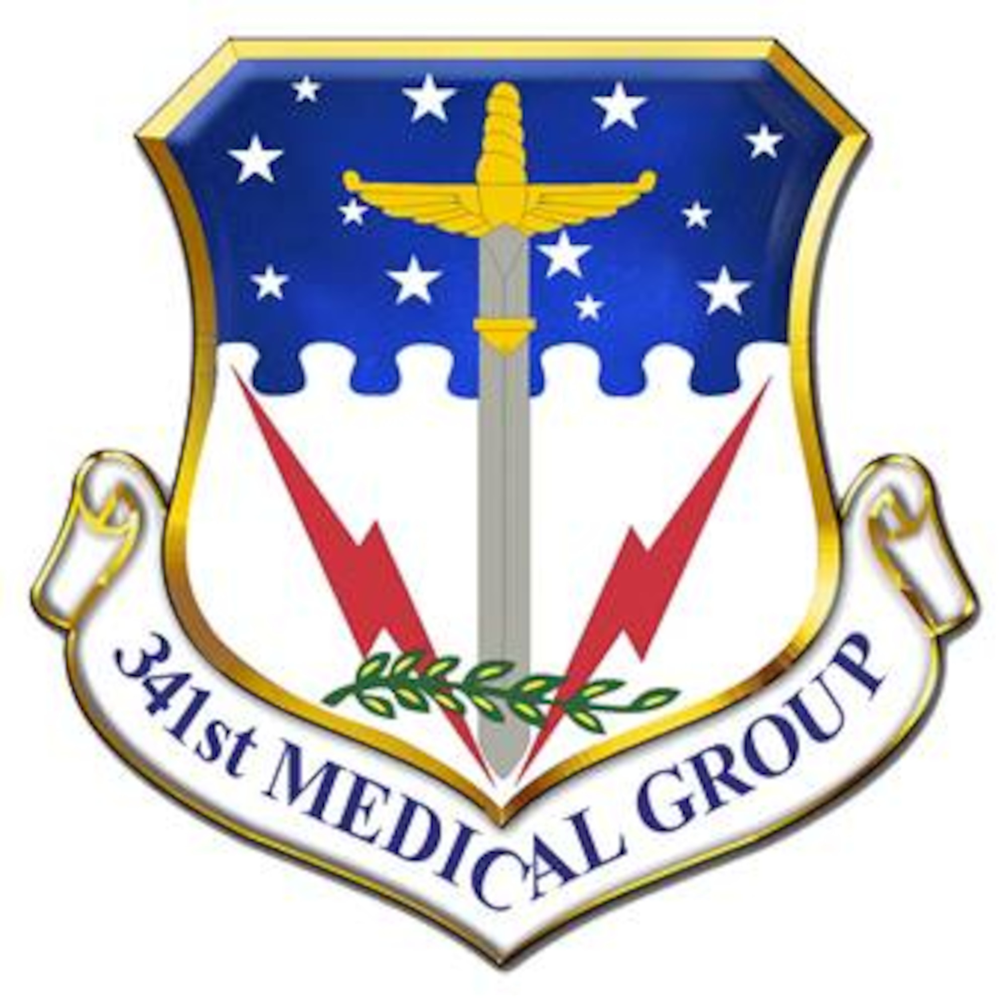 341st Medical Group shield