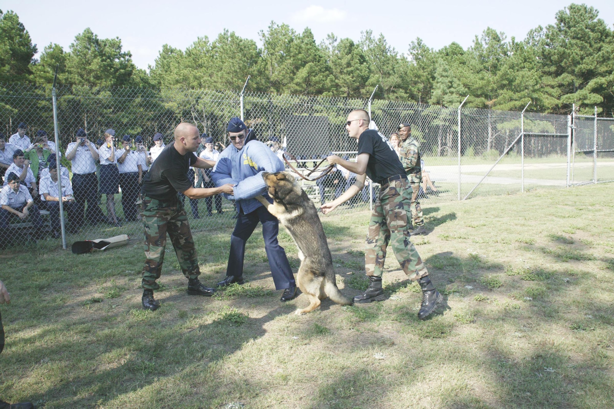 SHAW AIR FORCE BASE, S.C.-- Retired Air Force Col. Larry Swann, Midview High School AF JROTC instructor, “gets bit” during a military working dog demonstration Sept. 15. Col. Swann and more than 80 cadets from Grafton, Ohio, came to tour the base. Their tour was hosted by Capt. Jason Barta, 79th Fighter Squadron pilot.  (U.S. Air Force photo/Senior Airman Holly MacDonald)