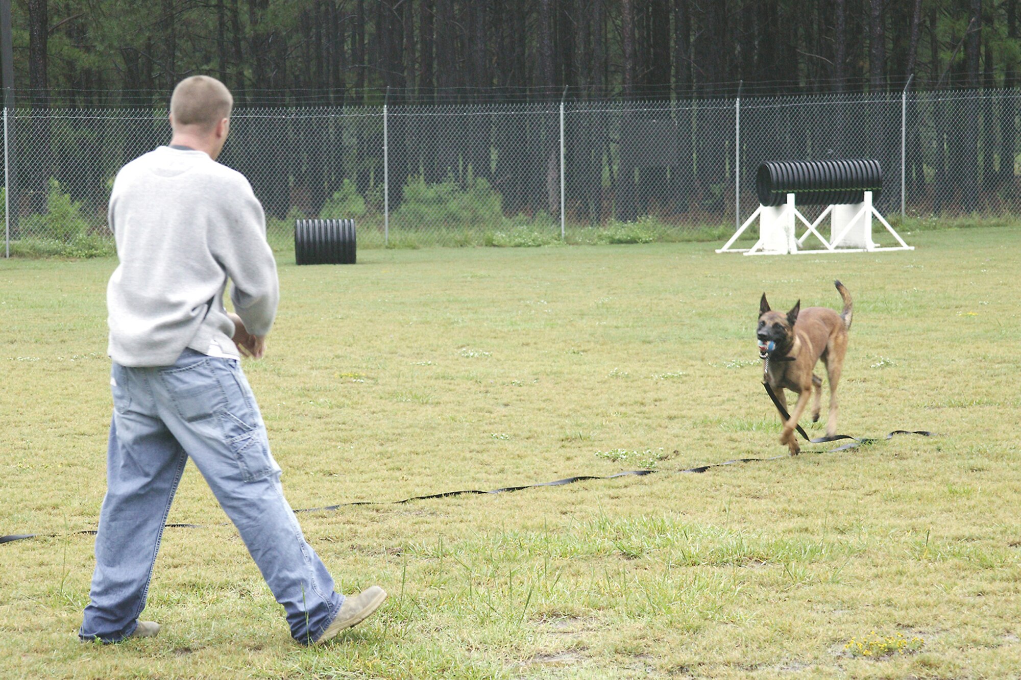 Zorba brings a ball back during "fetch."  (U.S. Air Force photo/Senior Airman Holly MacDonald)