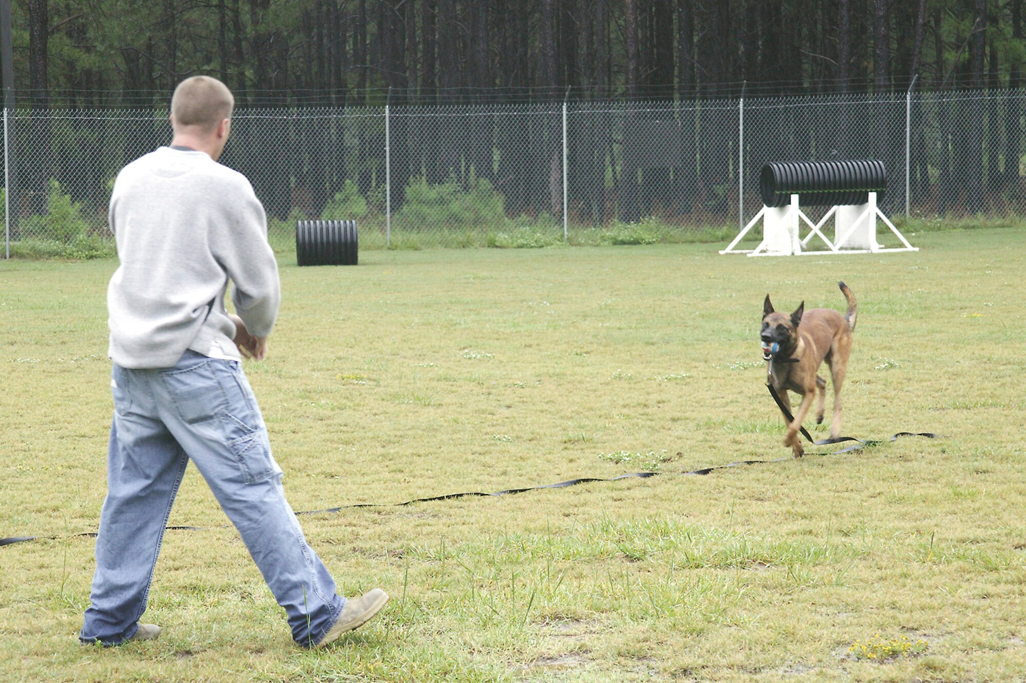 how to train a dog to bring a ball back