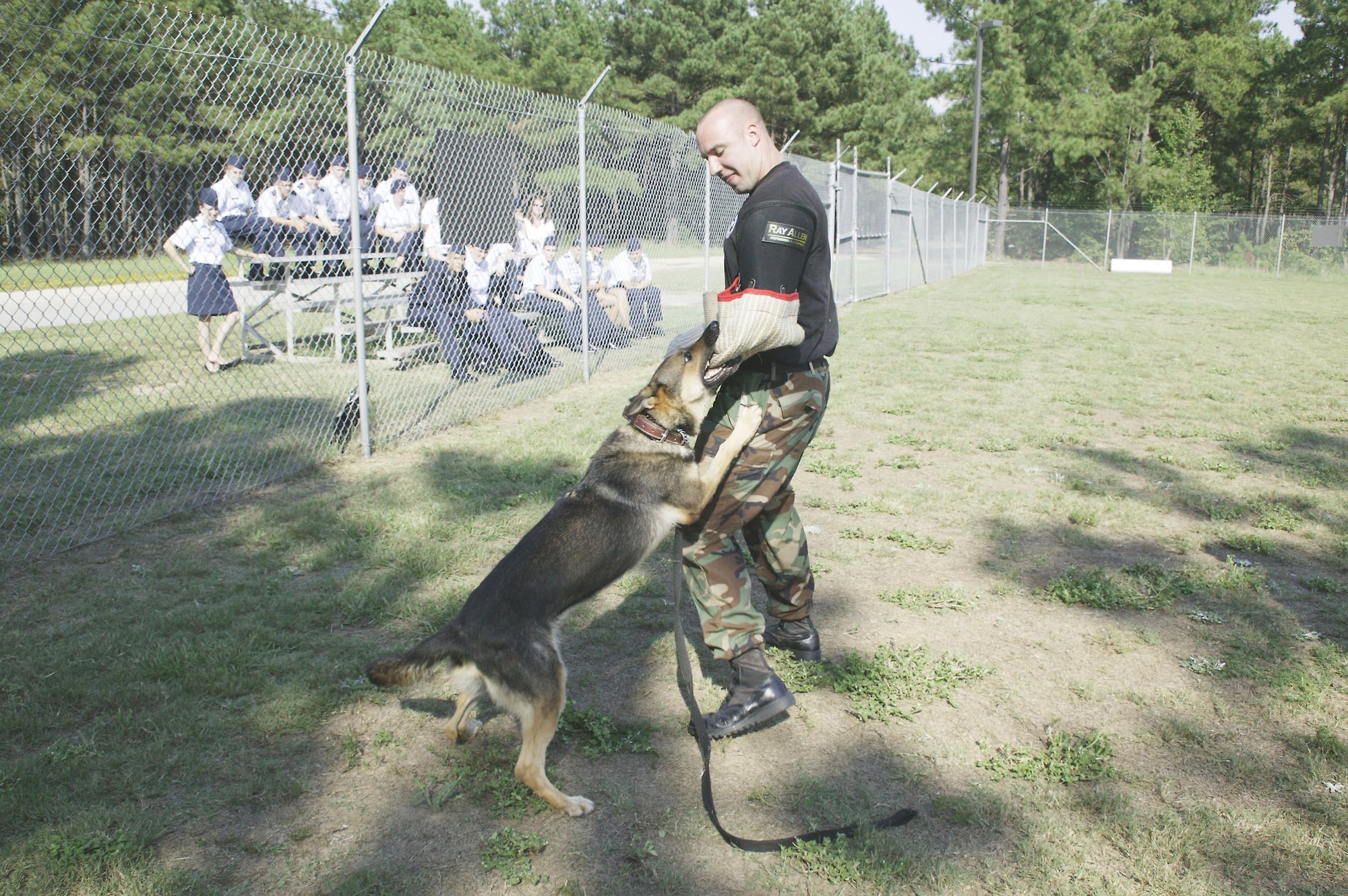 Zeus demonstrates his attack skills on Staff Sgt. Bradley Stem, 20th SFS MWD handler.  (U.S. Air Force photo/Senior Airman Holly MacDonald)
