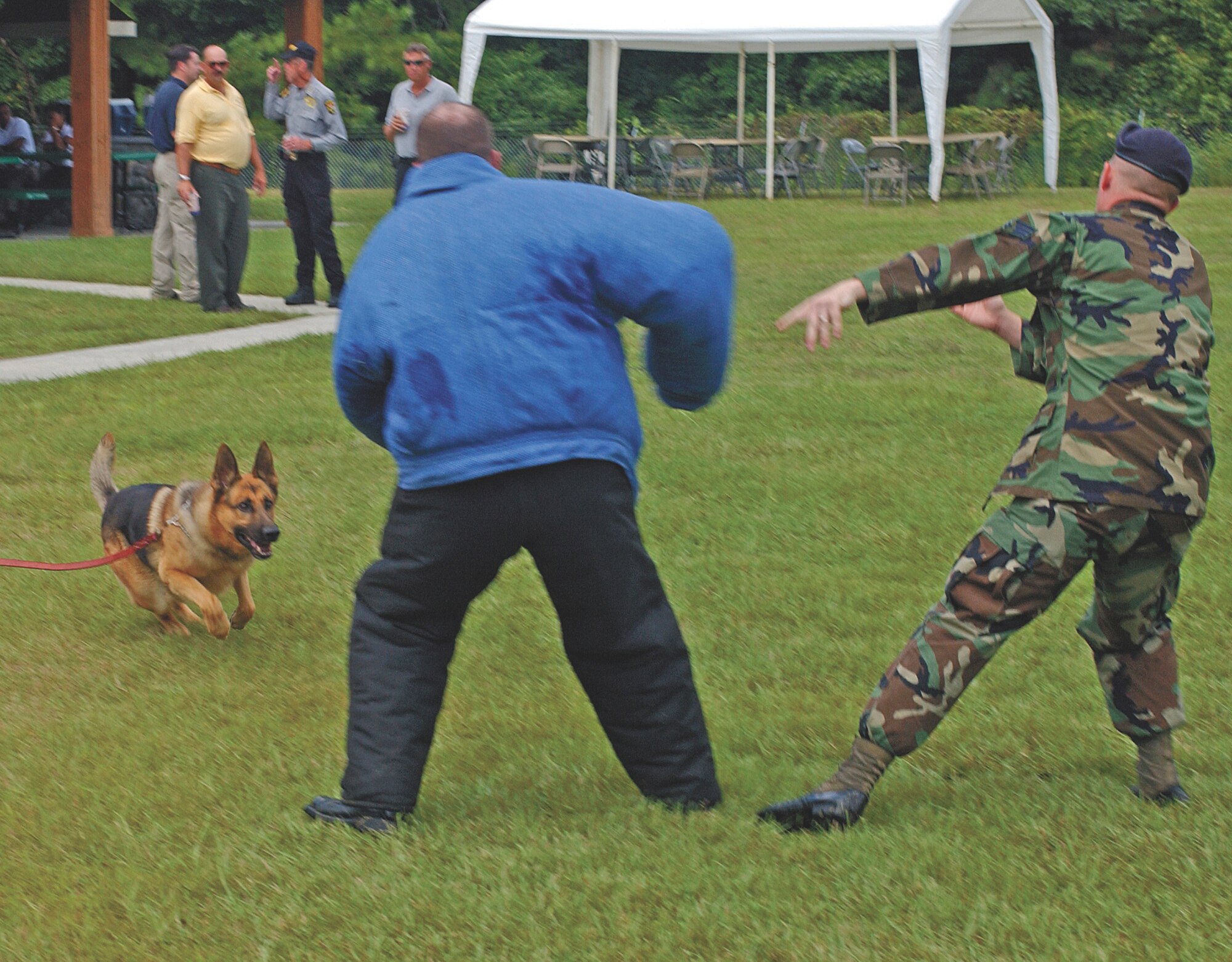 Aris, a military working dog, prepares to pounce on Staff Sgt. Samuel Beckett, who is playing the role of a suspect fleeing from Senior Airman Jesse Hall, during an antiterrorism awareness event hosted by the Office of Special Investigations here Sept. 14. Both Airmen and the dog are members of the 4th Security Forces Squadron.                               