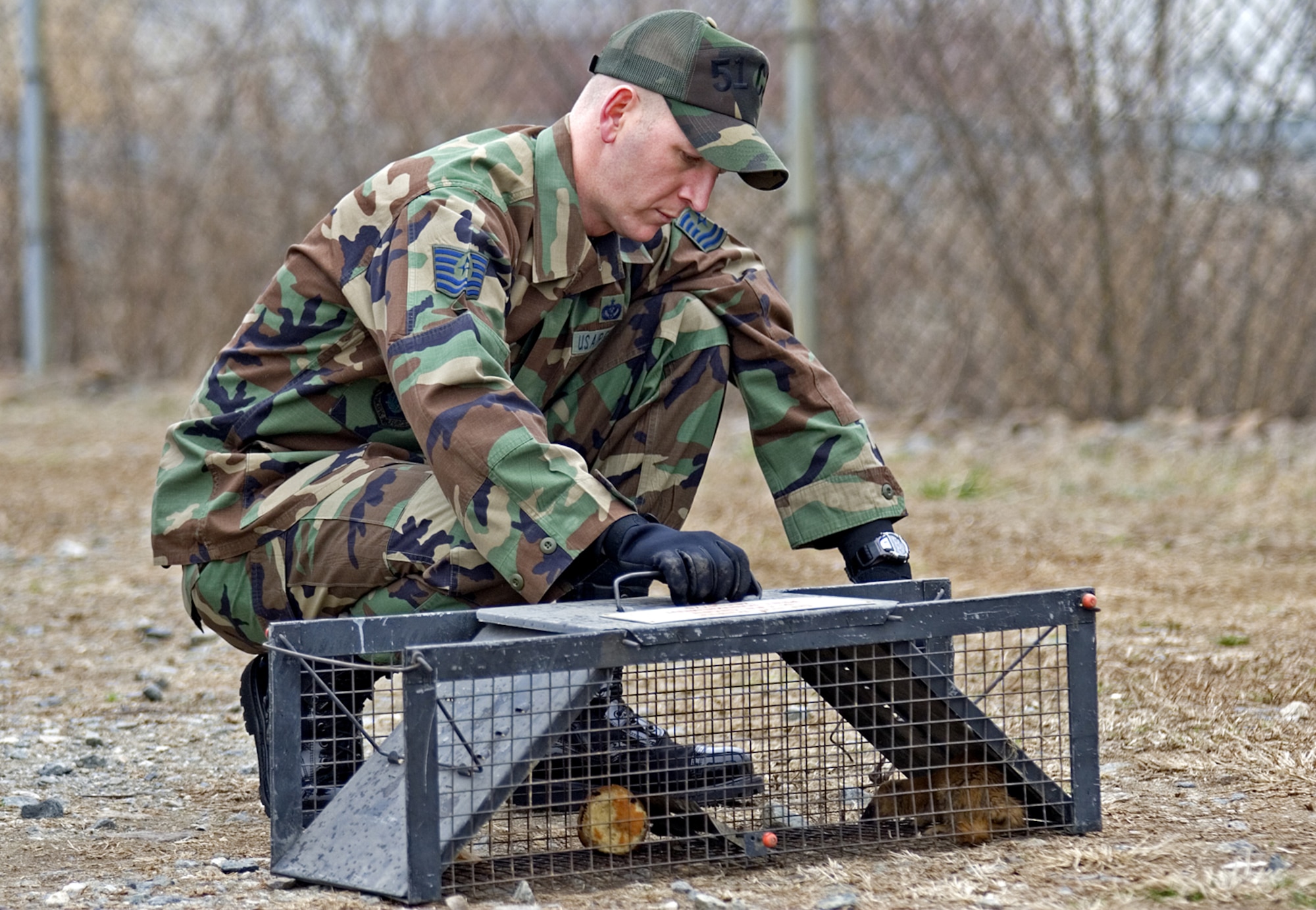 OSAN AIR BASE, Republic of Korea --  Tech. Sgt. Steven Coffman, 51st Civil Engineer Squadron pest management shop, prepares to release a wild ferret from a hav-a-hart live animal cage.  The three-member pest management shop handles all stray and feral animals found on base as well as various rodent and insect pests.  For pest management issues, contact the 51st CES service call desk at 784-6226. (Photo by Master Sgt. Ben Huseman)
