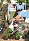 Senior Airman Naomi Delgado (left) takes a break while a couple of Navy students, Cecile Catral (center) and Tech. Sgt. Barbara Black-Diaz (lower right) plant some flowers March 30 in front of the 341st Training Squadron. Rain throughout the day interrupted their work but they completed their Team Lackland Base Beautification Project. (USAF photo by Sid Luna)                               