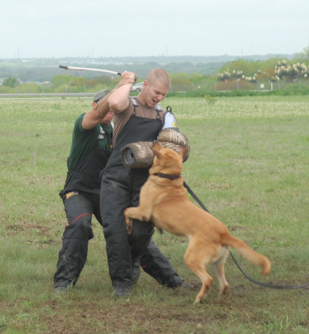 Staff Sgt. James Rybacki, 12th Security Forces Squadron military working dog handler, receives hands-on assistance from a seminar instructor on proper stick work with MWD Bak F. (US Air Force photo by Rich McFadden)