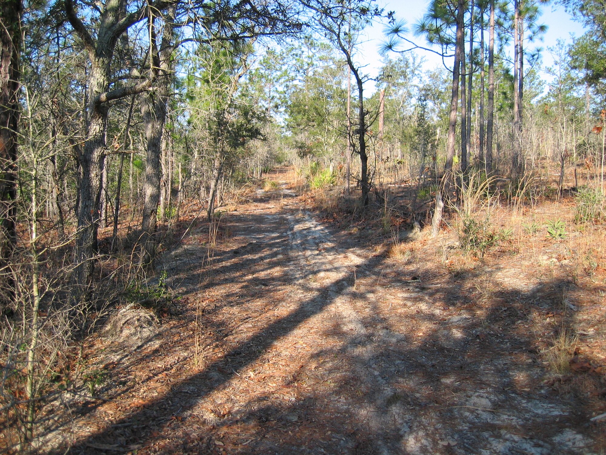 EGLIN AIR FORCE BASE, Fla. -- Scenic Northwest Florida views will be along the trails of the 6th Ranger Training Battalion Swamp Run scheduled for May 6. The 6th RTB, stationed at Auxiliary Field 6 on the Eglin Air Force Base military reservation, will be hosting a 5k and 10k race in conjunction with the Ranger Camp's annual Open House event. Demonstrations will include rappelling, weapons, parachute as well as boat and reptile displays. Those interested in the open house or the run can find more information as well as pre-registration information at www.swamprangers.com and click on the "Ranger Run" tab. Participants can pre-register on-line or by mail before April 30 for $15. After pre-registration deadline, participants can still register until race time for $20. (Photo by U.S. Army Capt. Kevin Capozzoli)