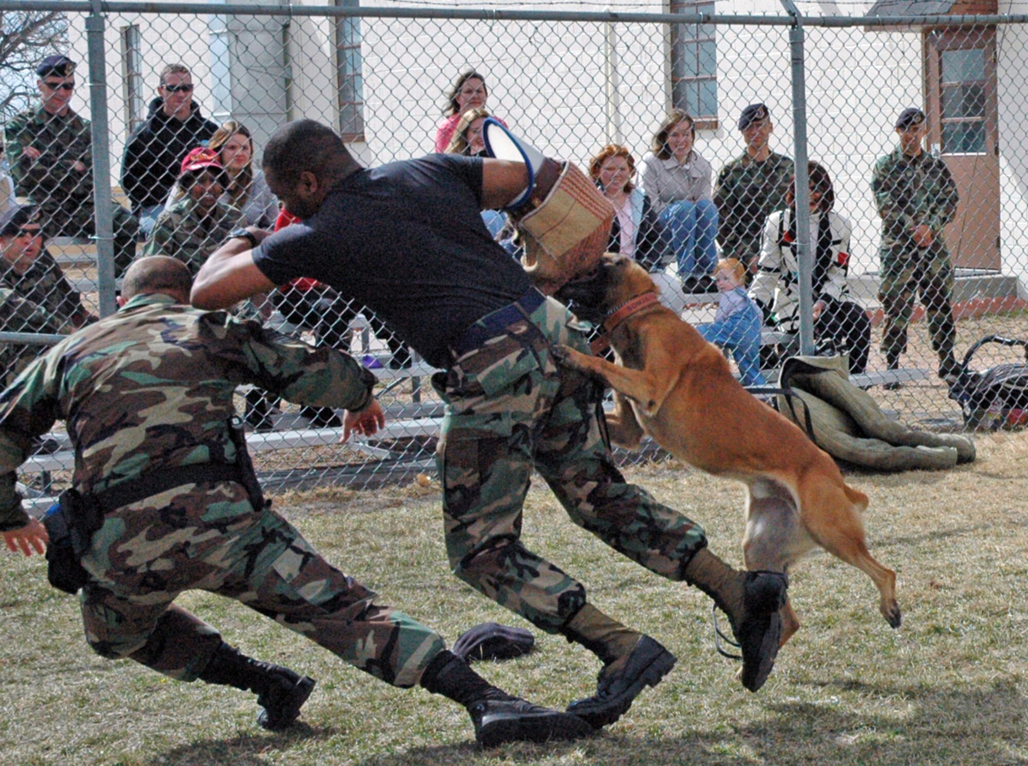 Tech. Sgt. Harold Gardner, 90th Security Forces Squadron, rushes Staff Sgt. Stacey Trucott, 90th SFS, in a demonstration for the 90th Security Forces Group spouses tour March 22. The rush act demonstrated that Zak, 90th SFS working dog, and any police canine will attack without order if their handler is being threatened (Photos by Airman Alex Martinez).