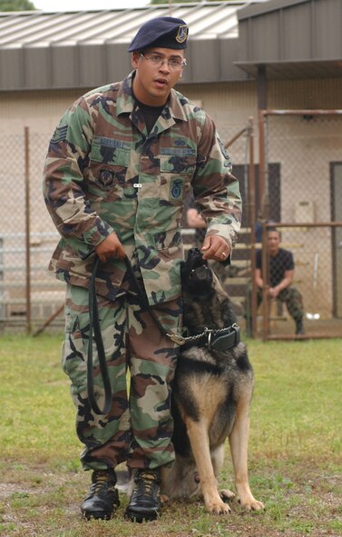 Staff Sgt. Andrew Rodriguez, 1st Special Operations Security Forces Squadron, stands ready with his military working dog Rony during a recent decoy training class at Hurlburt. (U.S. Air Force photo by Senior Airman Gary Stevens)