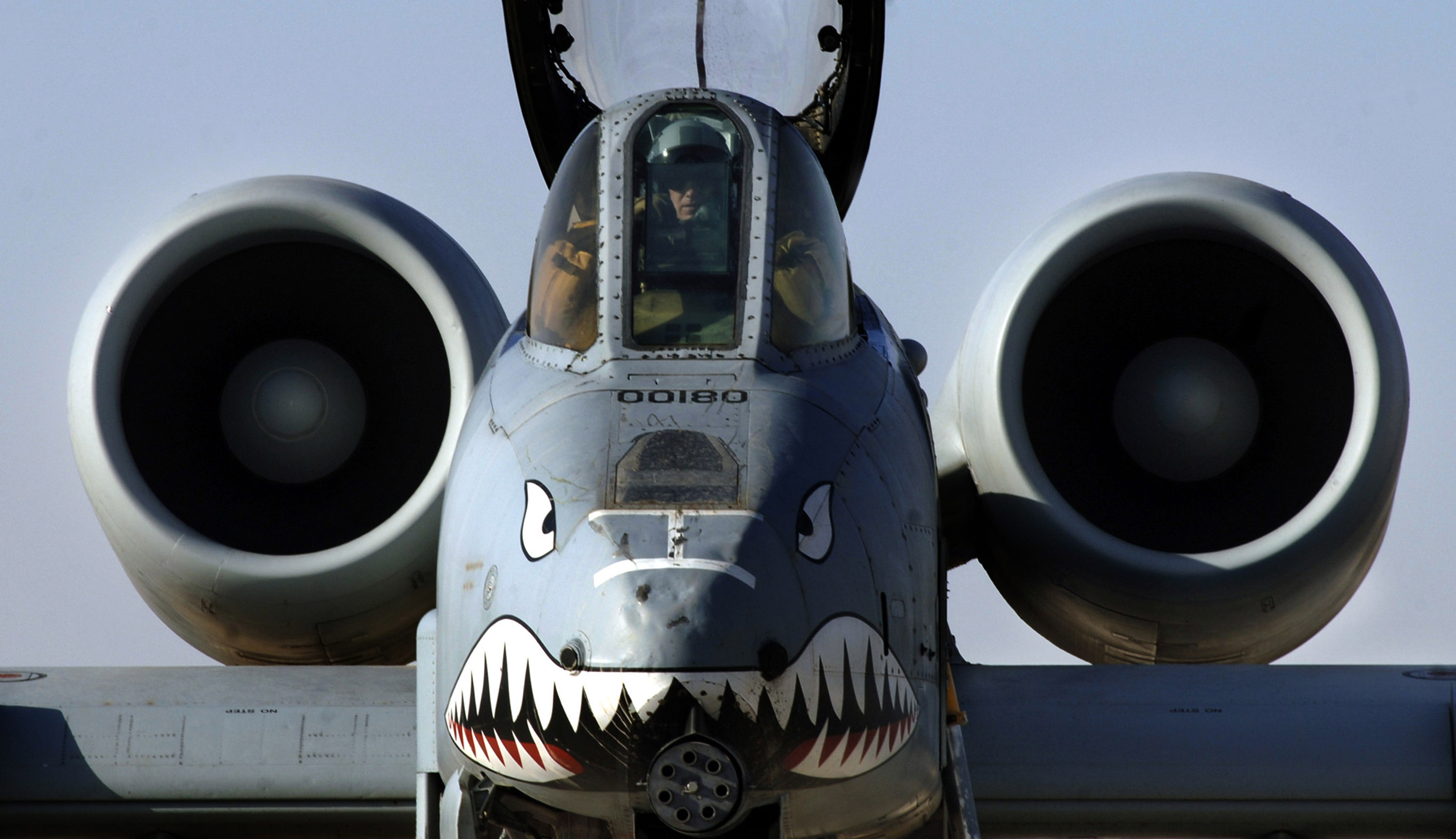 Training, communication key to success for A-10 pilots > Air Force >  Article Display