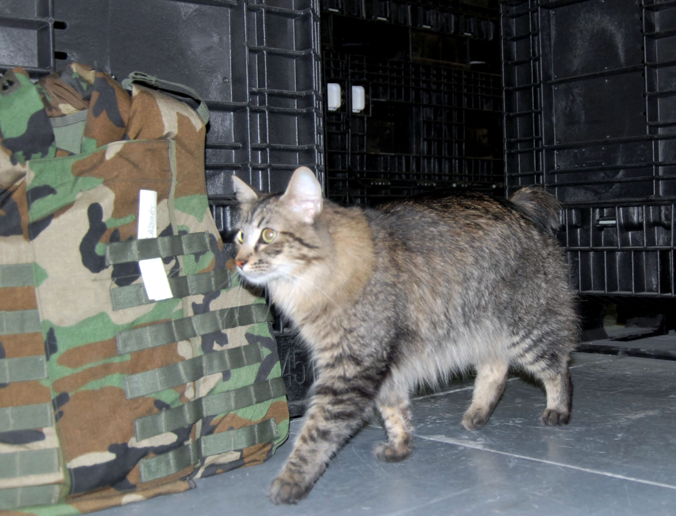 Supply unit uses military  working cat  to control 