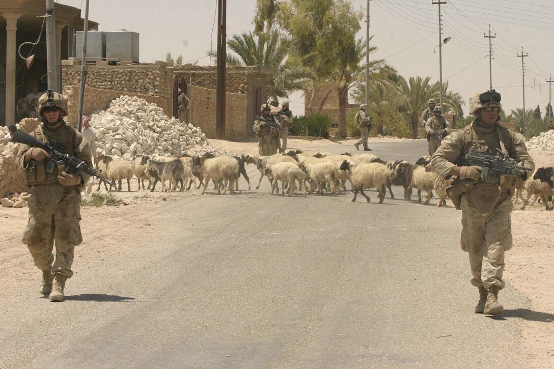 Lance Corporals Jared Jones, and Jonathan Haggard, rifleman and SAW gunner, Bravo Company, 1st Battalion, 3d Marines (1/3), walk past a herd of sheep while on patrol in Hadithah, Iraq on August 6, 2007.  1/3 is deployed with Multi National Forces-West in support of Operation Iraqi Freedom in the Al Anbar province of Iraq to develop Iraqi Security Forces, facilitate the development of official rule of law through democratic reforms, and continue the development of a market based economy centered on Iraqi reconstruction. (Official USMC photograph by Cpl Stephen M. Kwietniak)