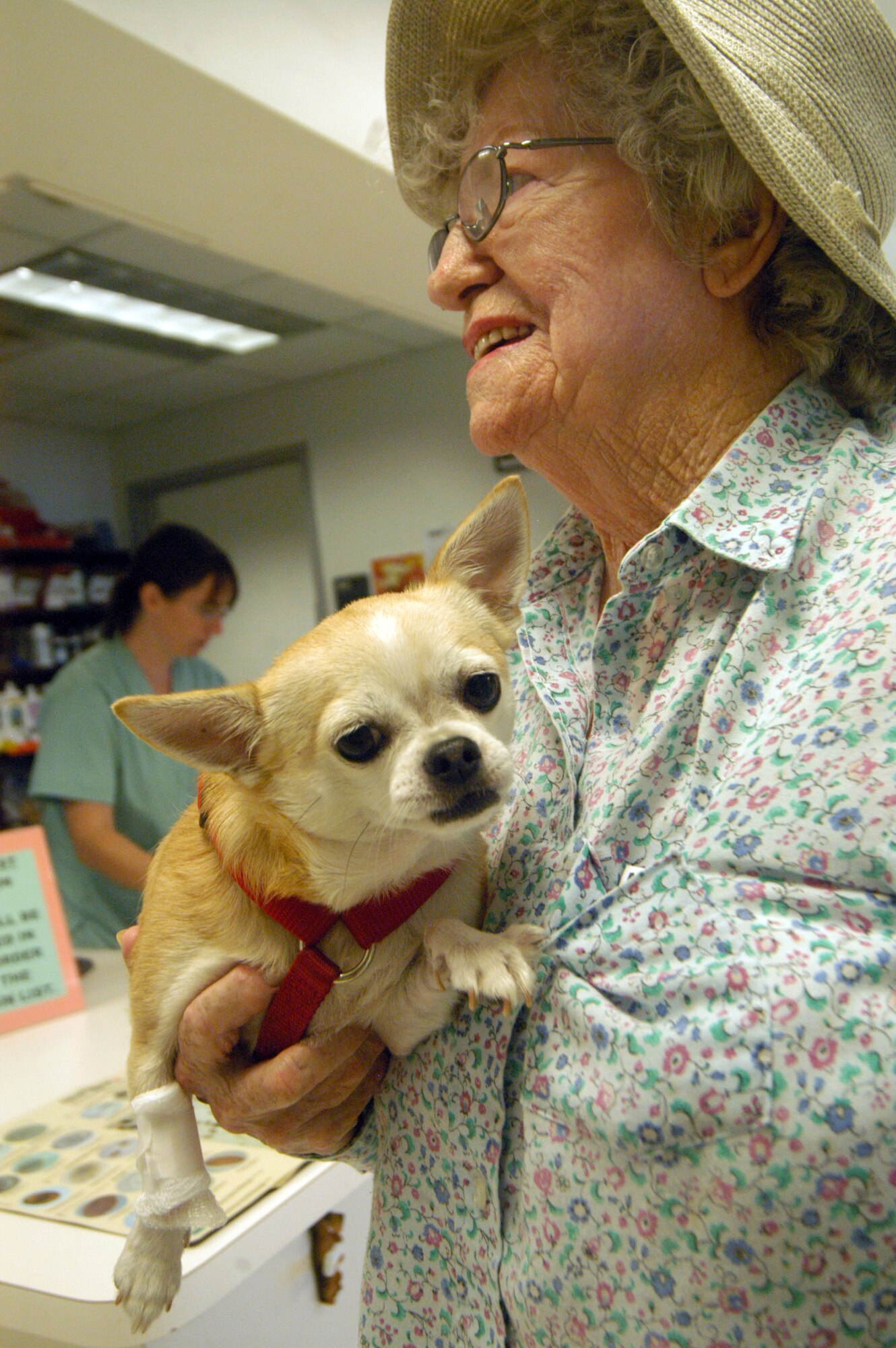 Mary Caldwell brings Ami, a 3 year old appleface Chihuahua, for her regular check-up Aug 3. U. S. Air Force photo by Sue Sapp  