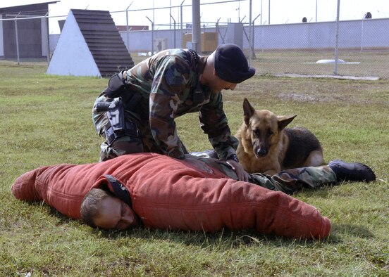 Staff Sgt. Ronnie Garcia, 39th Security Forces Squadron Military Working Dog Handler, performs a training search of the decoy, Staff Sgt. Justin Langely, 39th SFS Military Working Dog Trainer. Sergeant Garcia?s partner, Jag, 39th SFS Military Working Dog, sits in an over watch position, substituting for a human partner. Military working dogs are trained to respond to a hostile threat to either themselves or their partner, with or without a command. (U. S. Air Force photo by Senior Airman Jason Burton)  