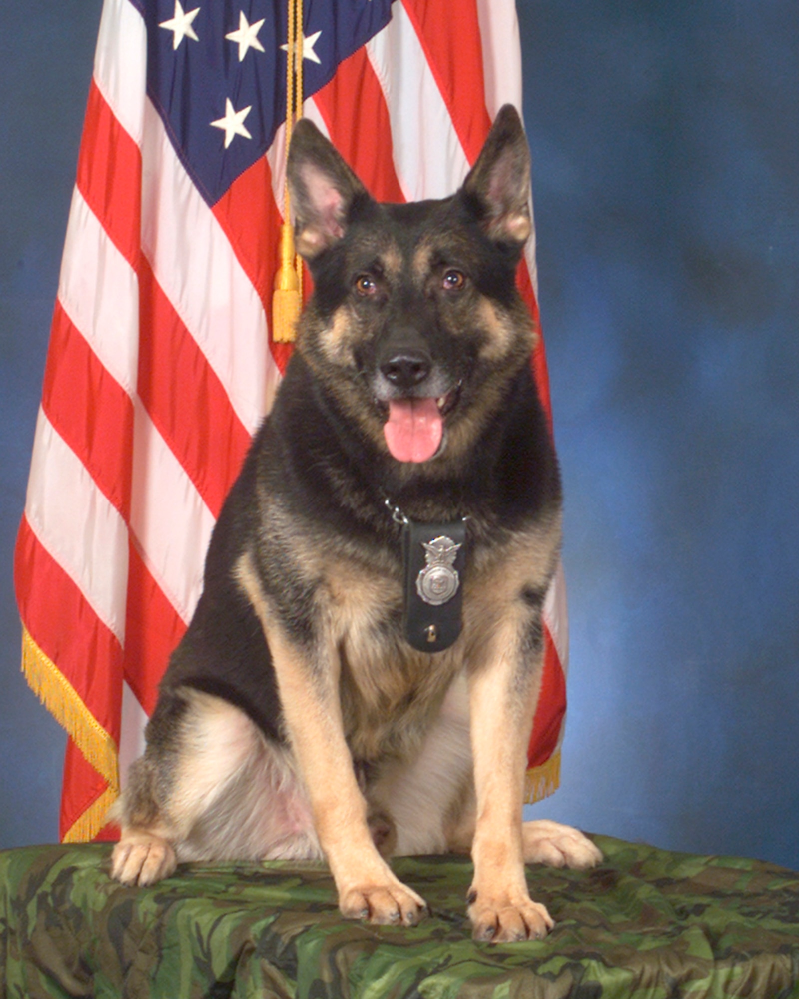 HANSCOM AFB, Mass. -- Military Working Dog Johnny will retire in a ceremony Aug. 10. (Air Force photo by Linda LaBonte Britt)