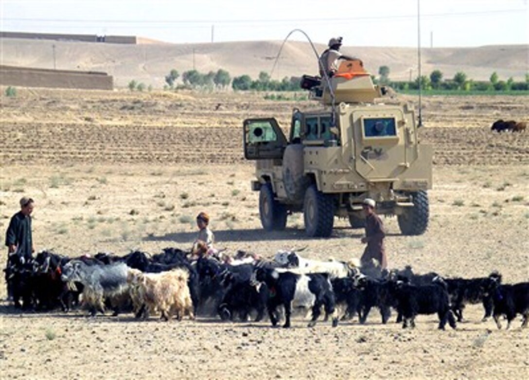 Afghan boys bring a herd of goats to coalition forces during a veterinarian civic action project in the Helmand Province of Afghanistan, Aug. 4, 2007.