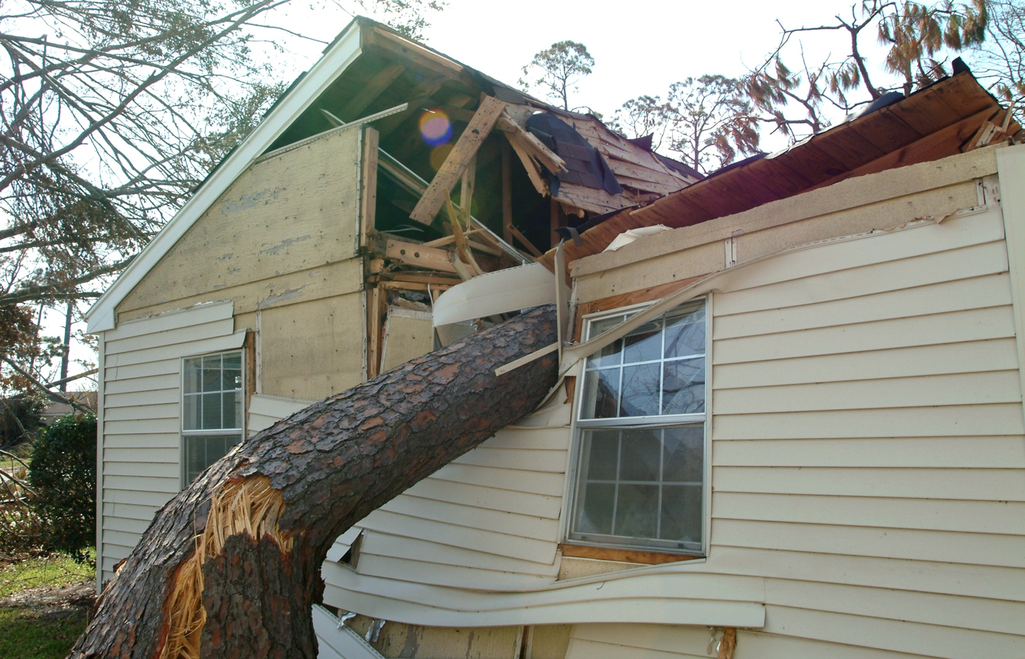 Left, a pine tree crushed this Pinehaven home.  Of Keesler’s 1,820 homes, only 641 were livable after Katrina.  (U.S Air Froce photo)