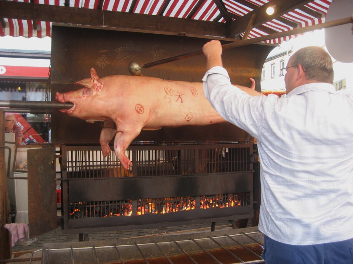Pig Fest > U.S. Air Forces in Europe & Air Forces Africa > Article Display