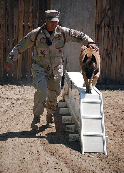 MANAS AIR BASE, Kyrgyz Republic -- Staff Sgt. Manuel Garcia and Jimmy, his K-9 partner, run the obedience course here recently. The 376th Expeditionary Security Forces Squadron team is deployed from Misawa Air Base, Japan's, 35th Security Forces Squadron's K-9 unit. U.S. Air Force photo by Staff Sgt. Les Waters) 
