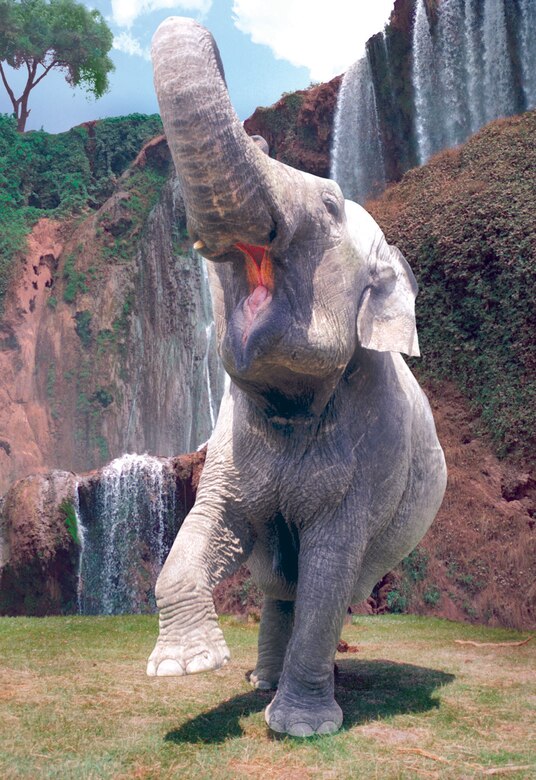 SPANGDAHLEM AIR BASE, Germany -- “Africa’s Big Circus” is touring Europe making a stop in Bitburg to perform shows Aug. 24 - 27. The theme of the circus is “The Magic of the Jungle,” which features African acrobatic, animal and entertainment for young and old. (Courtesy photo)