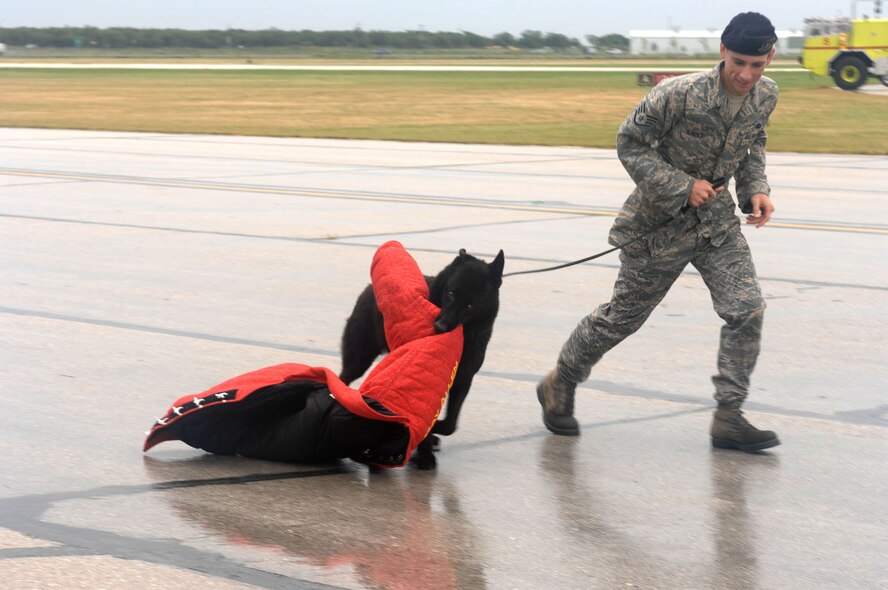 DYESS AIR FORCE BASE, Texas -- Staff Sgt. Kenneth Kimble III, 7th Security Forces Squadron, and his canine partner Cierney, finale a demonstration at the Big Country Air Fest with Cierney dragging away a bite suit used for training purposes. The Big Country Air Fest took place at Abilene's Regional Airport Aug. 18. (U.S. Air Force photo by Senior Airman Domonique Simmons)