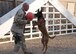 SOUTHWEST ASIA --Tech. Sgt. John Mascolo and his K-9 partner Diego enjoy playing ball after running the obedience course at Manas Air Base, Kyrgyz Republic. Sergeant Mascolo and Diego are assigned to the 376th Expeditionary Security Forces Squadron and are deployed from Misawa Air Base, Japan's, 35th Security Forces Squadron's K-9 unit. (U.S. Air Force photo by Staff Sgt. Les Waters) 
