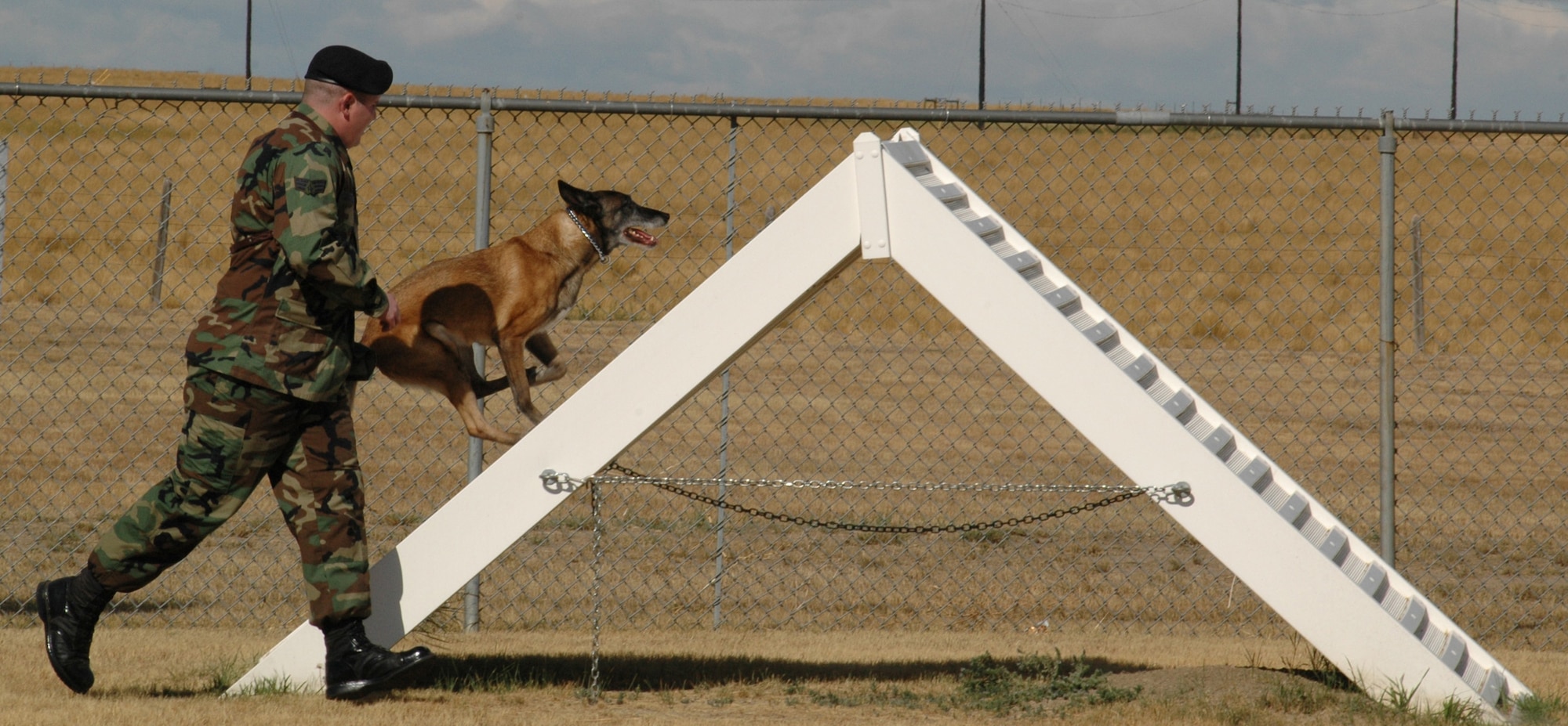 Senior Airman Bryan Tarantella, 341st Security Forces Squadron military working-dog handler, directs his dog, Brenda, through an obedience course at the Malmstrom Air Force Base K-9 training facility. (U.S. Air Force photo/Airman 1st Class Dillon White)