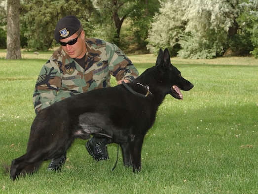 Staff Sgt. Justin Aycock, 341st Security Forces Squadron military working-dog handler, brushes his K-9 partner, Dani, prior to a community demonstration called "Bark in the Park" at Gibson Park in Great Falls June 30. (U.S. Air Force photo/Airman 1st Class Dillon White)