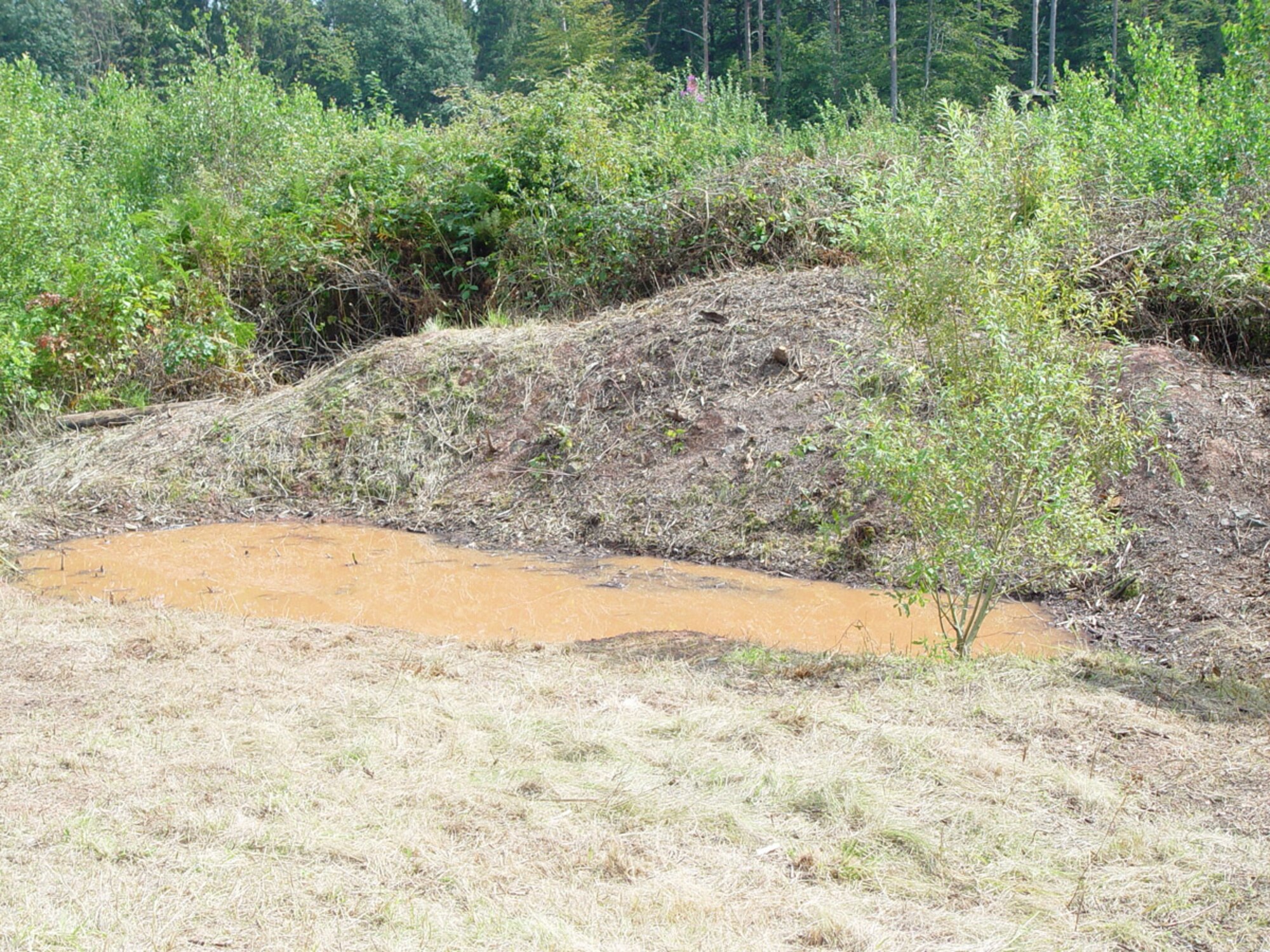 SPANGDAHLEM AIR BASE, Germany – A new pond is formed on Spangdahlem near the flightline where just two months earlier, trees, branches, blackberry bushes and other shrubbery covered the area. This “after” picture was taken Aug. 27. Spangdahlem’s Boy Scout Troop 165 worked two consecutive weekends to remove the debris to make a home for wildlife. (U.S. Air Force photo/Master Sgt. Kyle Thomas)   