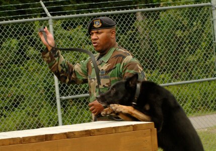 Staff Sgt. Ramon Alexander, 437th Security Forces Squadron military working dog handler, takes his dog, Waldo, through the K-9 training course on base Monday.  (U.S. Air Force photo/ Staff Sgt. April Quintanilla)