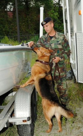 Staff Sgt. William Roeck, 437th Security Forces Squadron military working dog handler, takes his dog, Rony, around different vehicles searching for explosives during his certification training Monday on base. (U.S. Air Force photo/Staff Sgt. April Quintanilla)
