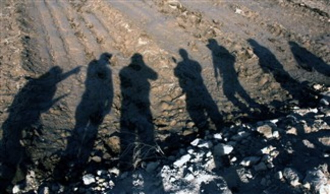 Bosnian army soldiers and U.S. Navy sailors attached to Multinational Forces cast long shadows as they take a break to stand on top of a mound near a canal following a search for explosive ordnance in Diwaniyah, Iraq, Dec. 1, 2007. 