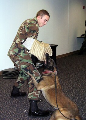 SEYMOUR JOHNSON AIR FORCE BASE, N.C.--Senior Airman David C. Godoy, a Reservist with 916th Security Forces Squadron here, participates in a demonstration by the 4th Fighter Wing Security Forces Squadron's K-9 unit on Dec. 2.