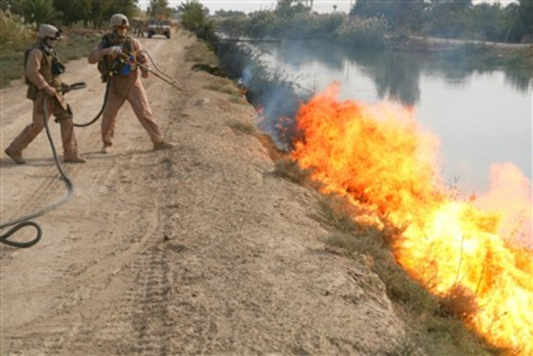 U.S. Marines burn brush along a canal to eliminate potential spots for insurgents to hide improvised explosive devices and ordnance in Saqlawiyah, Iraq, on Nov. 16, 2007.  The Marines are attached to Alpha Company, 2nd Combat Engineer Battalion, Regimental Combat Team 6.  