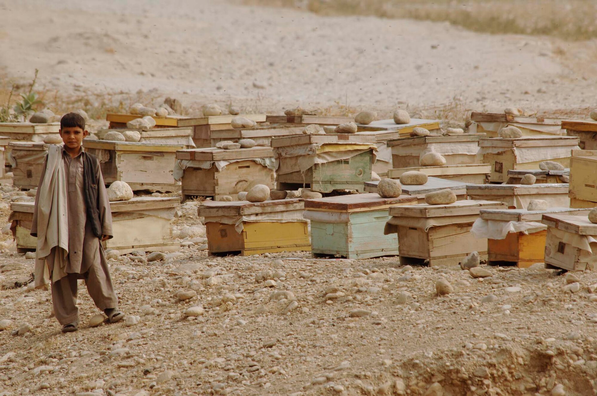 NANGARHAR PROVINCE, Afghanistan - An Afghan boy stands by his bee hives as he watches the Nangarhar provincial Reconstruction Team perform a canal assessment on Nov. 10, 2007.  The Nangarhar PRT is a joint team of Airman, Soldiers, and representatives from the U.S. Department of State, the U.S. Agency for International Development, and the U.S. Department of Agriculture.  The team is responsible for helping the Government of the Islamic Republic of Afghanistan improve security, governance and promote reconstruction in Nangarhar Province.  The PRT assesses community needs and then builds schools, government centers, roads, medical capability and basic infrastructure throughout the province; they also personally mentor Afghan government officials and security forces. (U.S. Air Force photo by Staff Sgt. Joshua T. Jasper)(Released)