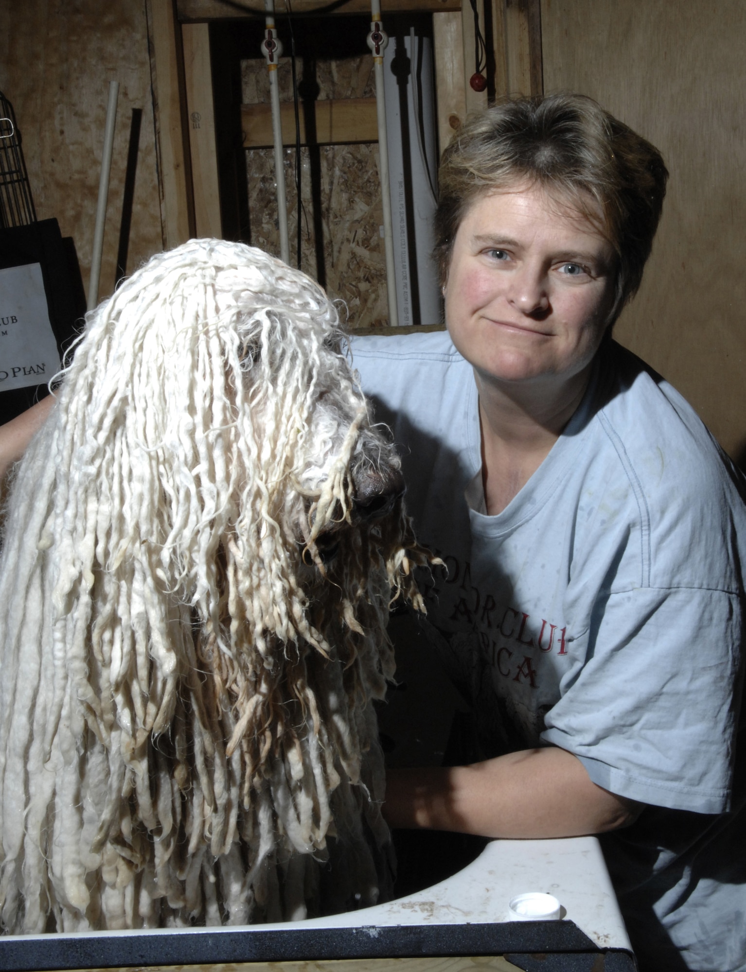 Master Sgt. Adrienne Freyer, 28th Bomb Wing Plans and Evaluations superintendent, bathes her Champion Kyllburg, Chaos, in preparation for the Dec. 2, 2007 American Kennel Club/ Eukanuba National Invitational Dog Show in Long Beach, Calif. Chaos won best of breed and best bred, continuing a trend started in October where he won best in breed and back-to-back group ones in Minnesota, Oct. 6 and 7; and back in Rapid City, S.D., won best in breed Oct. 19 through 21, Group 4 Oct. 20 and Group 3 Oct. 21. (U.S. Air Force photo/Senior Airman Angela Ruiz)