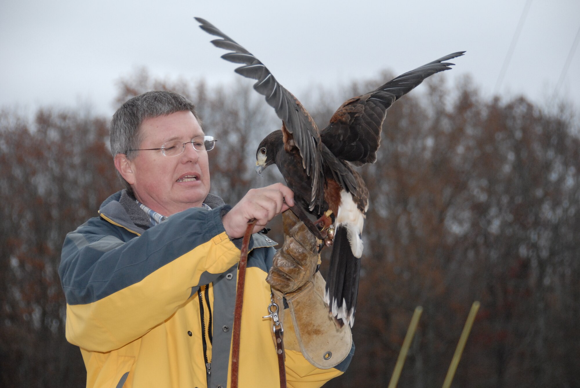 Don Hervig, an Arnold Engineering Development Center (AEDC) engineer in the Instrumentation & Diagnostics department of the Technology & Analysis branch, wraps a jessie around his Harris Hawk “Zena” while he explains characteristics of this particular bird. (Photo by Rick Goodfriend)