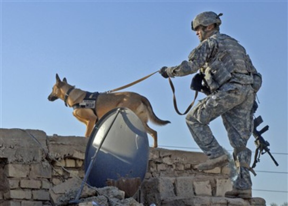 A U.S. Army dog handler and his dog crest the roof of a building they are clearing in Galahbia in the Diyala Province, Iraq, on Dec. 23, 2007.  The handler and dog are working with the 2nd Squadron, 1st Cavalry Regiment.  