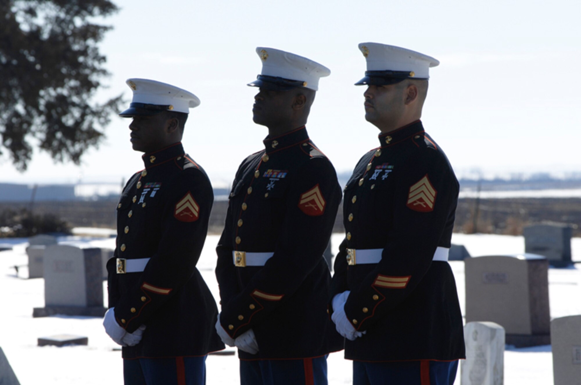 Members of the Kansas City 24th Marine Regiment serve as pallbearers Jan. 25, during the funeral of Albert “Jud” Wagner. (Air Force photo by Senior Airman Jamie Train)