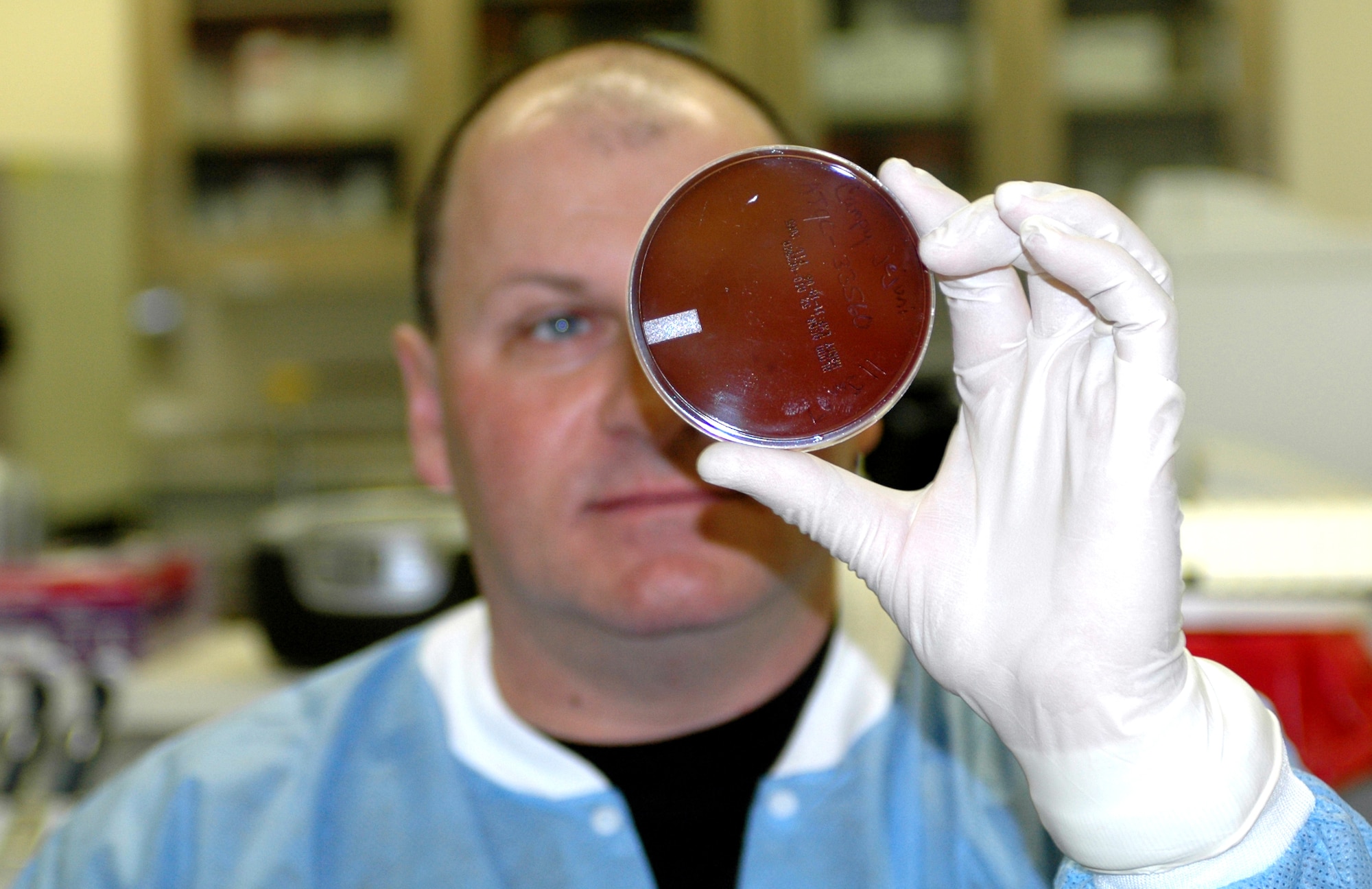 Maj. Anthony Caruso, 60th Medical Support Squadron, examines a growth of campylobacter bacteria, usually transmitted in contaminated food or water, and one of the most common causes of bacterial foodborne illness in the United States. The Clinical Investigation Facility at David Grant USAF Medical Center specializes in the quick detection of food-born pathogens using DNA research. Currently detecting viruses or bacteria in food is a process that can take from 24 to 96 hours. (U.S. Air Force photo by Jennifer Brugman)