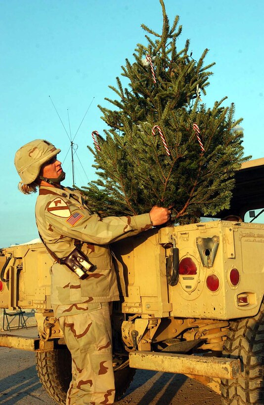 Army Sgt. Maj. Della St. Louis, operations sergeant major for  Headquarters Company, 4th Brigade Combat Team, 1st Cavalry Division, takes her  real Christmas tree on a tour of Camp Taji, Iraq, to have soldiers of the camp  help decorate it. Photo by Cpl. Benjamin Cossel, USA