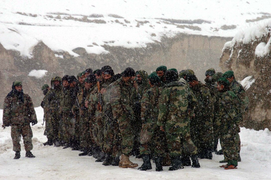 Soldiers of the Afghan National Army's 2nd Kandak (Battalion),  3rd Brigade, stand in formation. After ascending Chaperi Mountain, they  discovered no survivors of the Kam Air flight that crashed Feb. 4. The team  shifted its operation to a victim recovery operation. The ANA will support the  International Security Assistance Force in the recovery efforts when weather  will permit helicopter flight to the area. Photo by Sgt. 1st Class Mack Davis,  USA