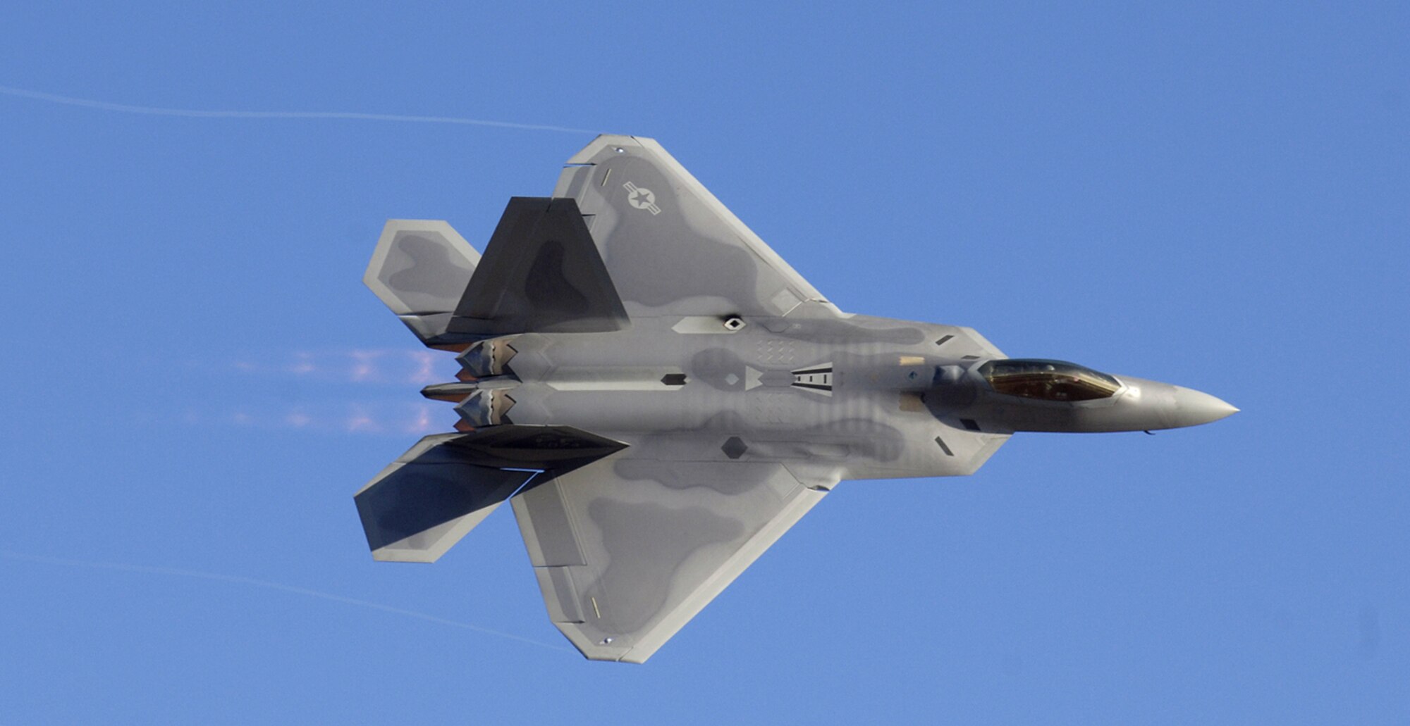 MARIETTA, Ga --  Pacific Air Forces' first F-22 makes a pass over guests at the Lockheed Martin plant, Feb 12, 2007.  This F-22 is the first of several that will be assigned to PACAF at Elmendorf Air Force Base, Alaska. (photo by John Rossino)