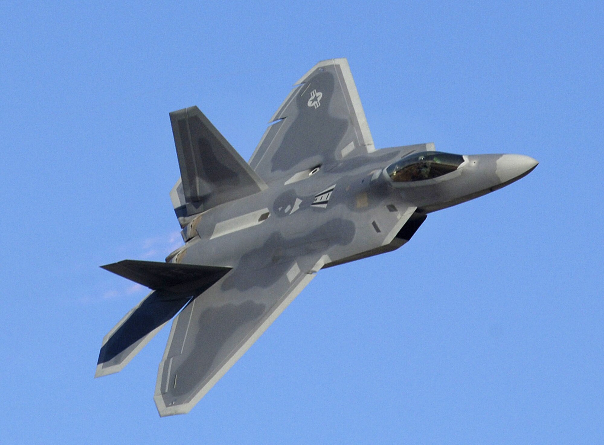 MARIETTA, Ga --  Pacific Air Forces' first F-22 makes a pass over guests at the Lockheed Martin plant, Feb 12, 2007.  This F-22 is the first of several that will be assigned to PACAF at Elmendorf Air Force Base, Alaska. (photo by John Rossino)