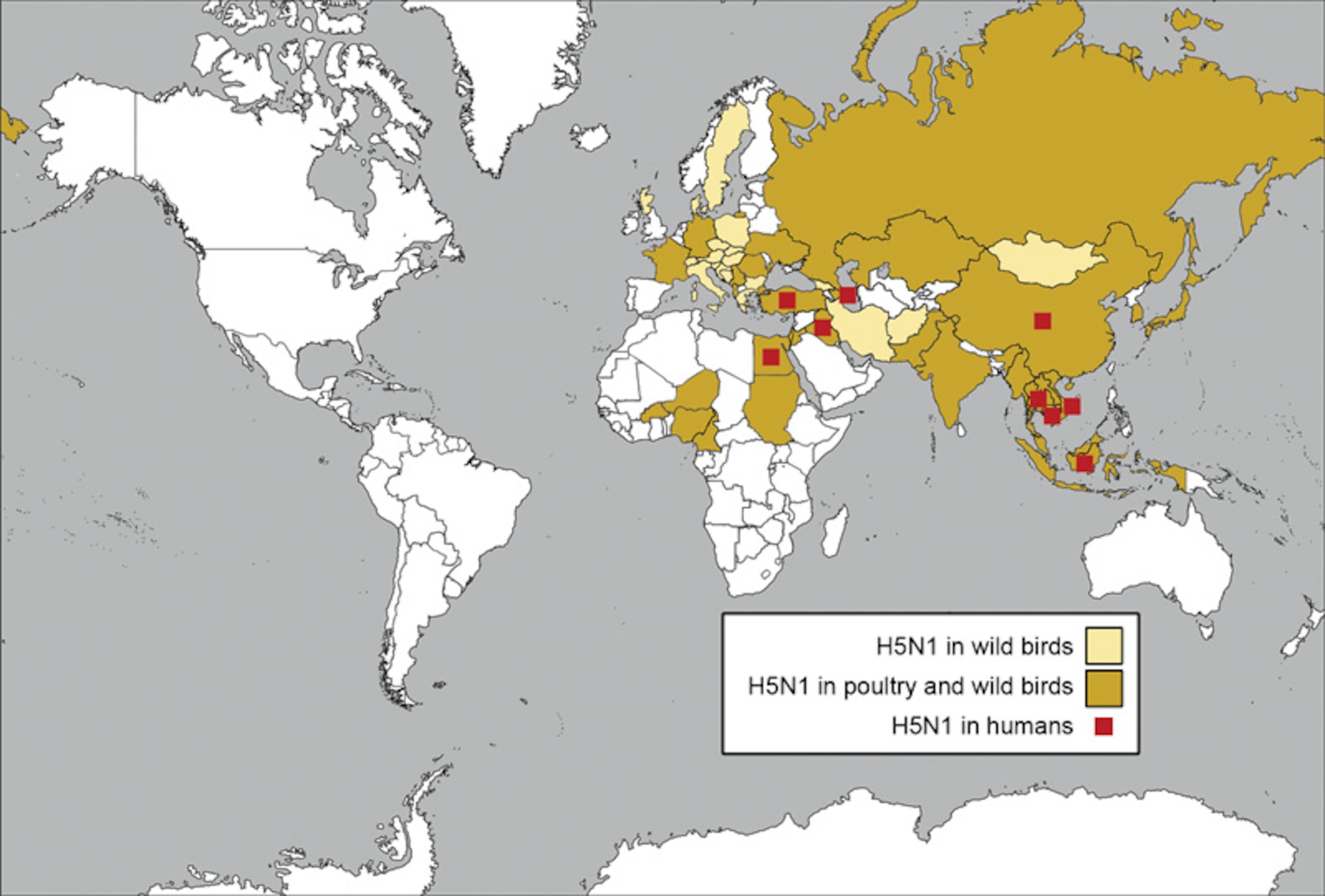 Properly named avian influenza, this virus has spurred global awareness and growing concerns about the possibility of the virus changing into a form that passes efficiently from person-to-person. (Courtesy graphic)