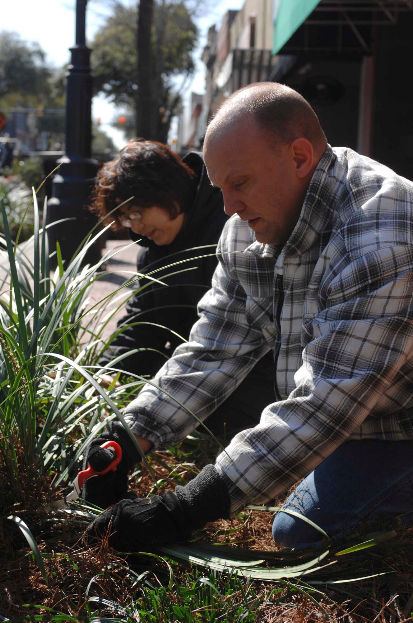 SUMTER, S.C. -- Tech. Sgt. Chris Albertsen, 20th Component Maintenance Squadron Avionics techinican at Shaw Air Force Base, S.C., and wife Sachiyo plant shrubs Feb. 16 in downtown Sumter as part of the "Putting the 'U' in Sumter" community event. More than 600 Shaw Airmen and civilian employees, and their families planted trees and shrubs, painted at five fire stations, power washed historic buildings, landscaped flower beds and accomplished general clean up. (U.S. Air Force photo/by Airman 1st Class Matthew Davis)